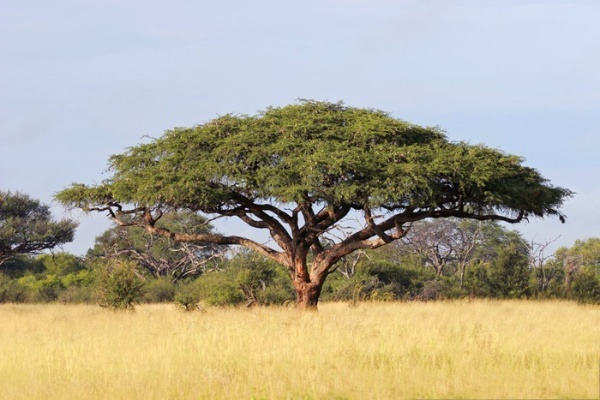 Paris - Berlin image